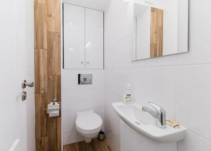 Cozy * 普罗夫迪夫